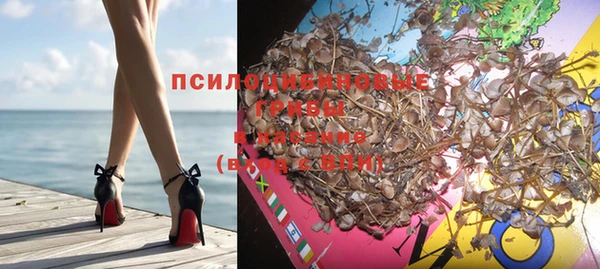 твердый Тобольск