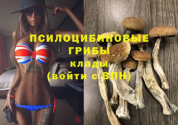 скорость Тихвин