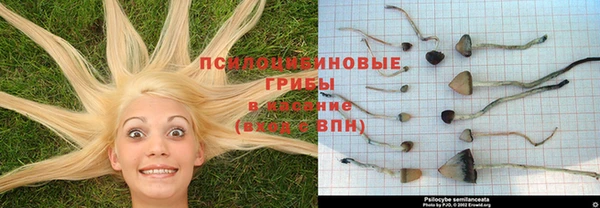твердый Тобольск