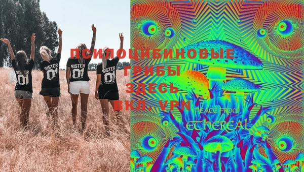 бошки Тихорецк