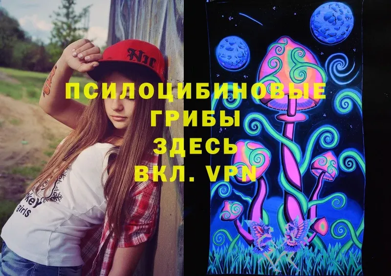 Галлюциногенные грибы Magic Shrooms  Агрыз 